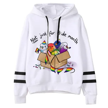Orgulho Lgbt Lgbt hoodies mulheres anime de Lã puxa a camisola das mulheres do vintage puxa